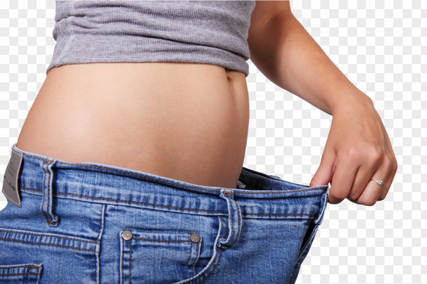 Weight Loss Dieting Human Body Adipose Tissue PNG