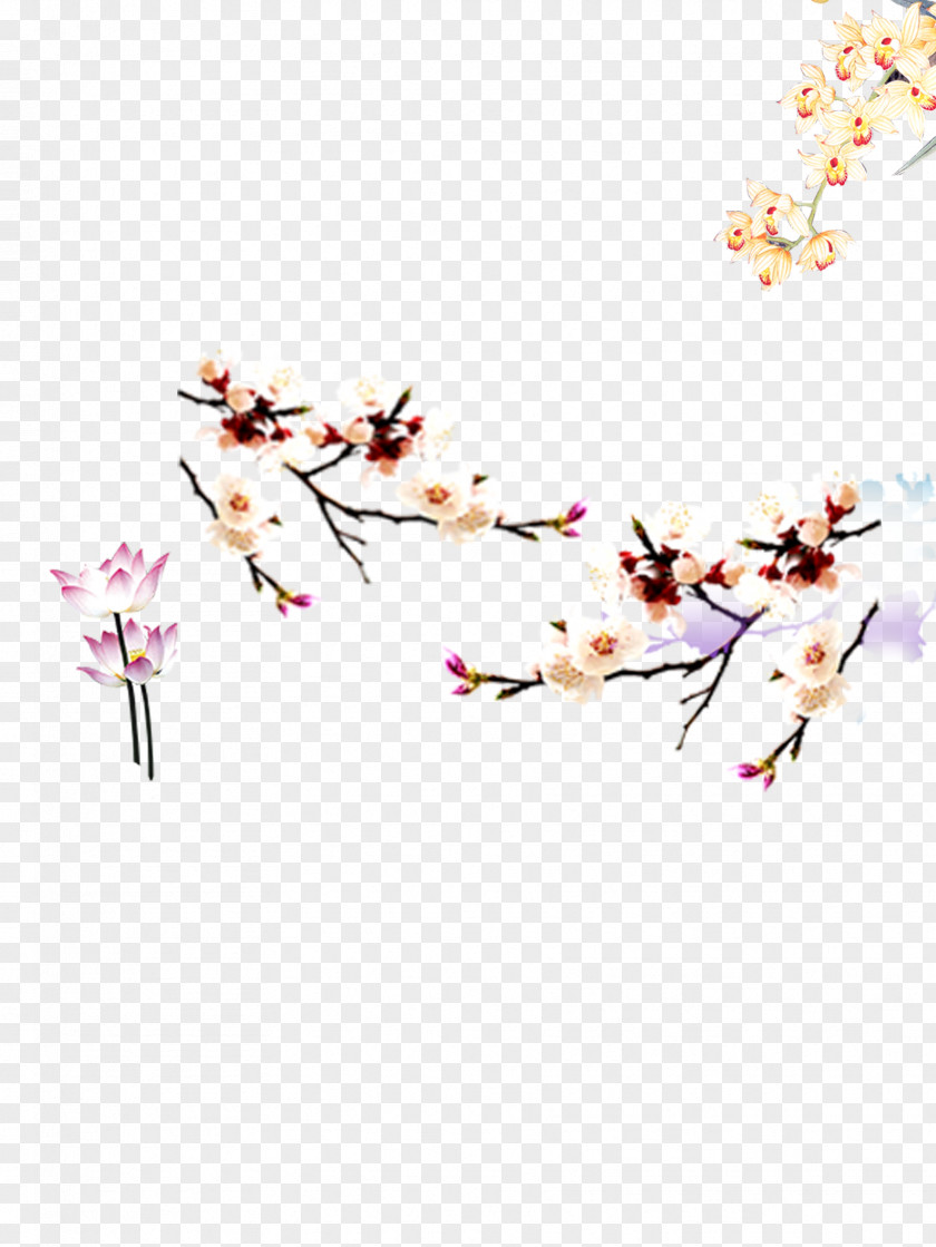 Winter Plum Blossom Apricot Download PNG