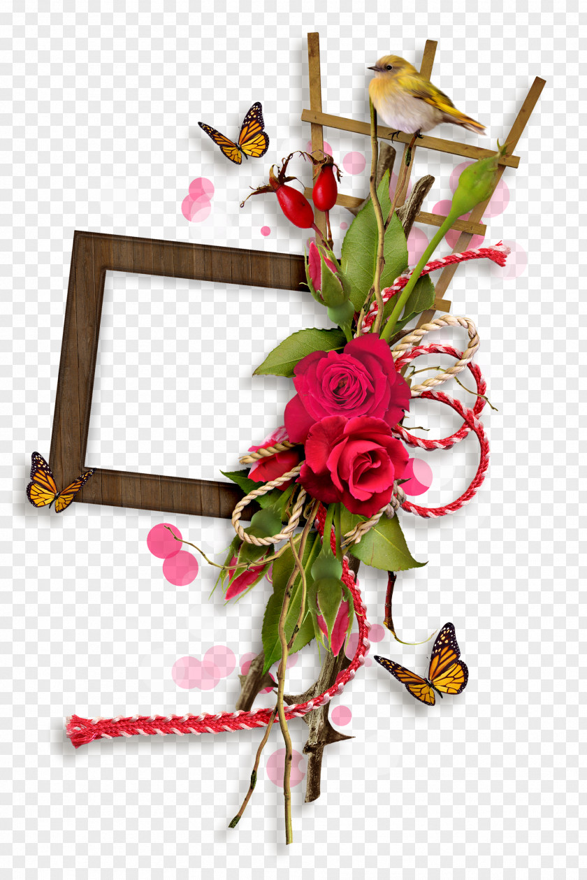 Bowknot Picture Frames Photography Scrapbooking PNG