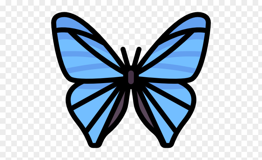 Butterfly Icon Monarch Csicsergő Óvoda Kindergarten Brush-footed Butterflies Child PNG