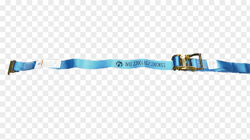 Design Leash Turquoise PNG