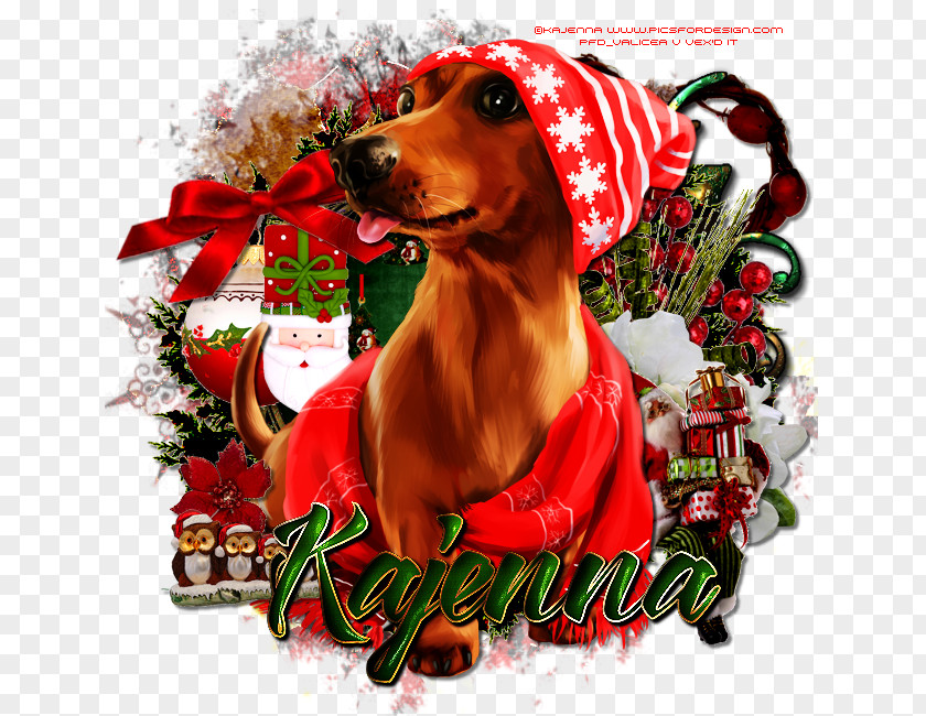 Puppy Dog Breed Dachshund Christmas Ornament PNG
