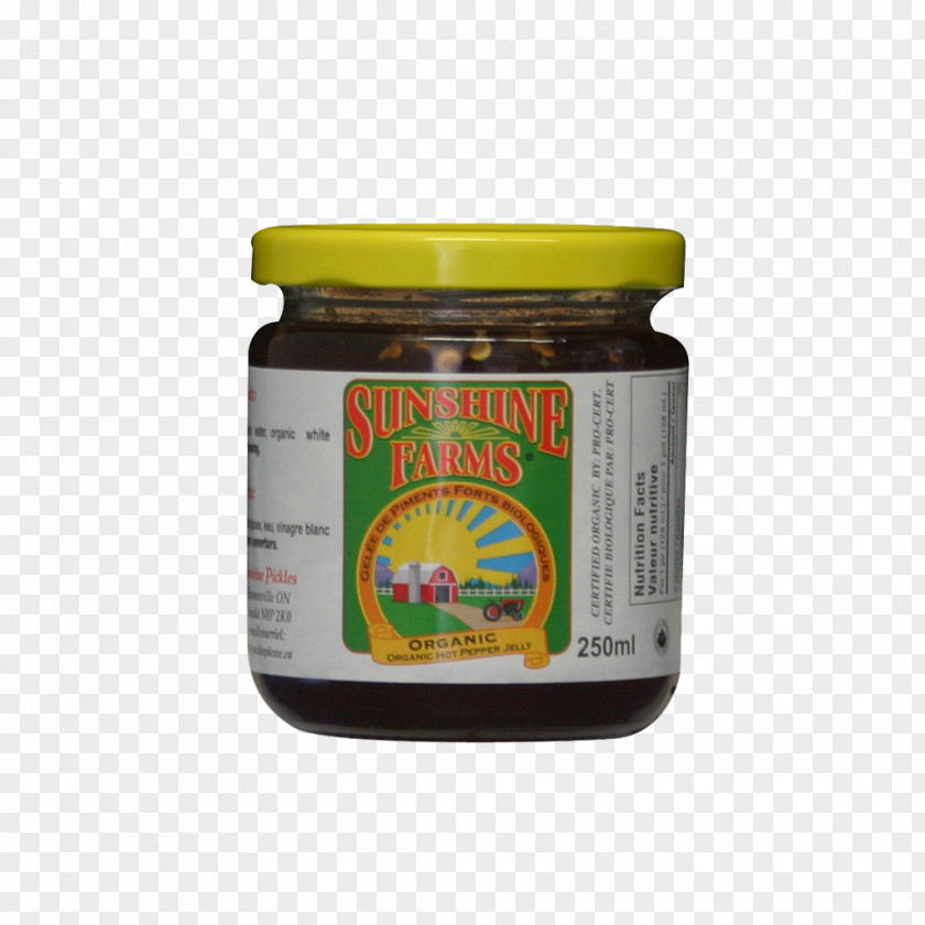 Chutney Sauce Flavor PNG