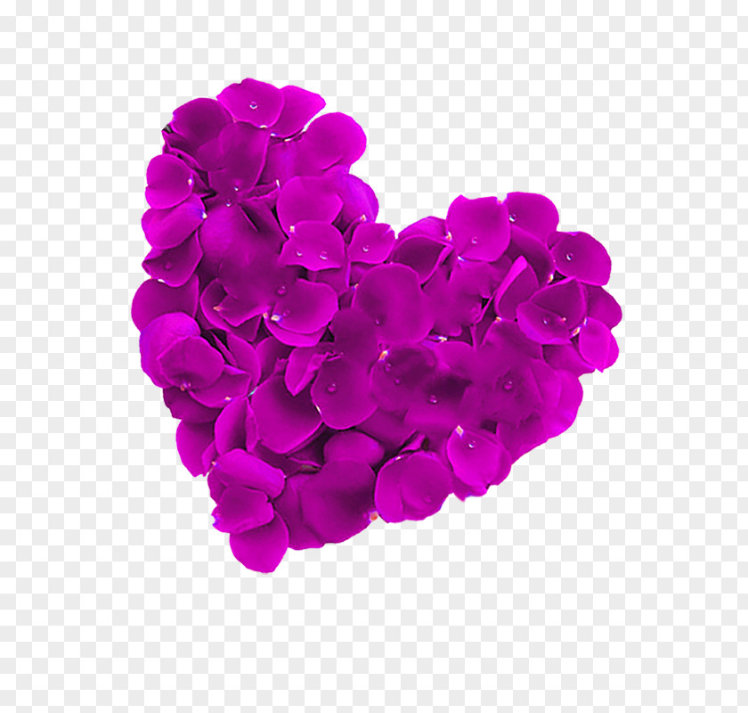 Dream Petals Love Petal Heart Clip Art PNG