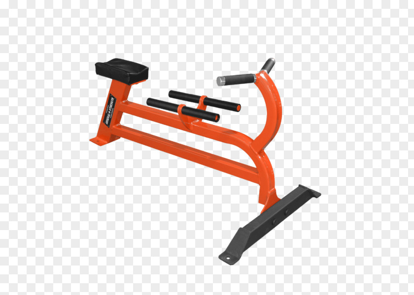 Dumbbell Exercise Machine Bench Bent-over Row PNG