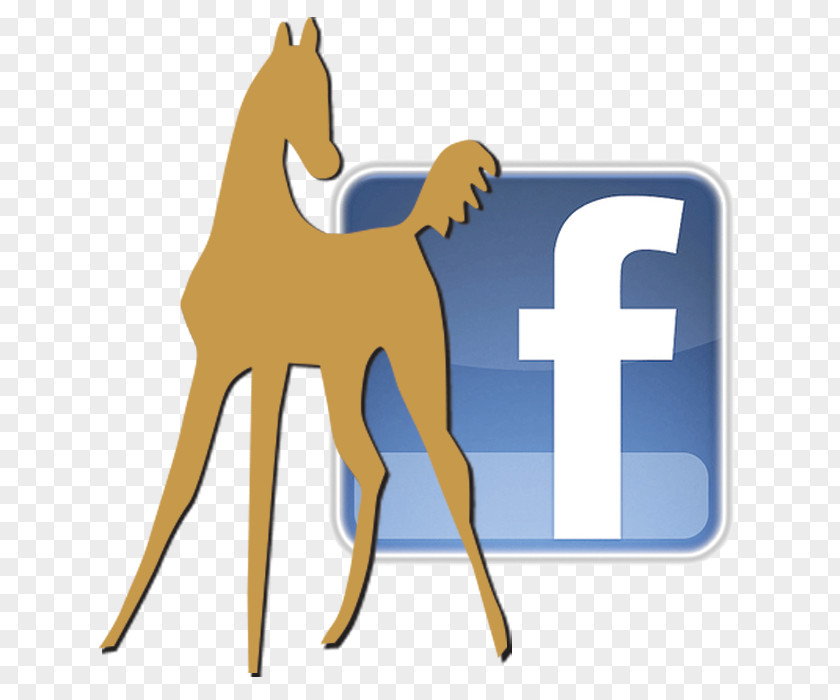 Facebook Clip Art Logo PNG