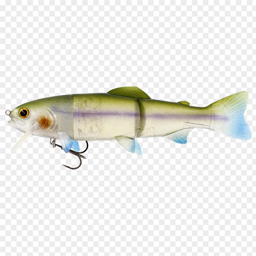 Fishing Plug Sardine Gummifisch Northern Pike Trout PNG