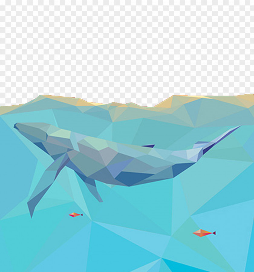 Geometric Blue Whale Dolphin Geometry PNG