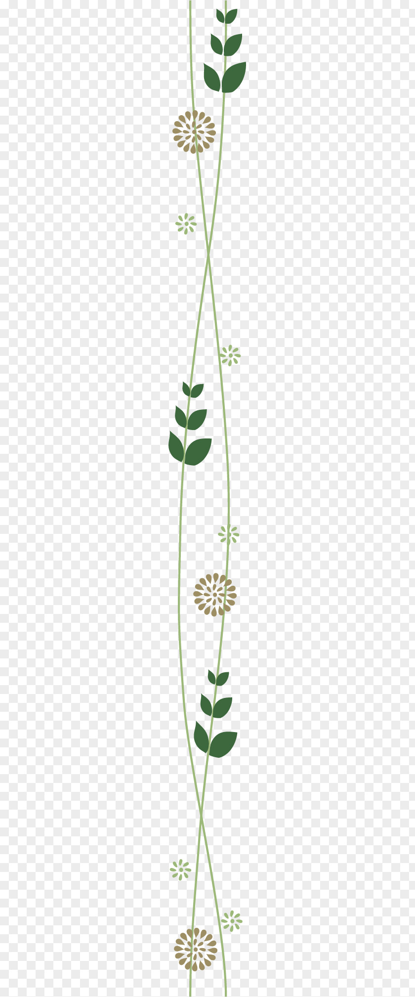Green Vector Segmentation Line Grasses Plant Stem Leaf Flower PNG