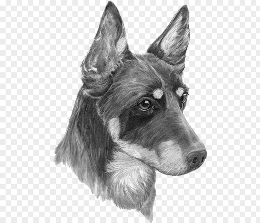 Hand-painted Puppy Seppala Siberian Sleddog Utonagan Saarloos Wolfdog German Shepherd Central Asian Dog PNG