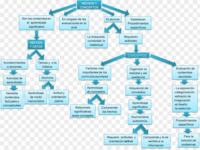 Line Brand Organization Diagram PNG