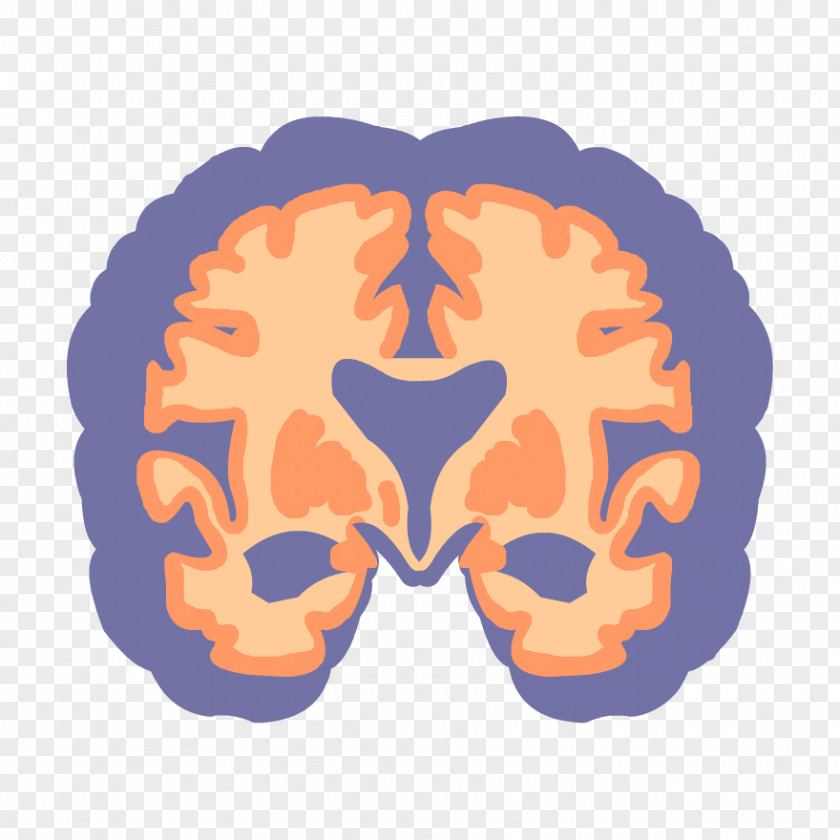 Symmetry Orange Cartoon Brain PNG