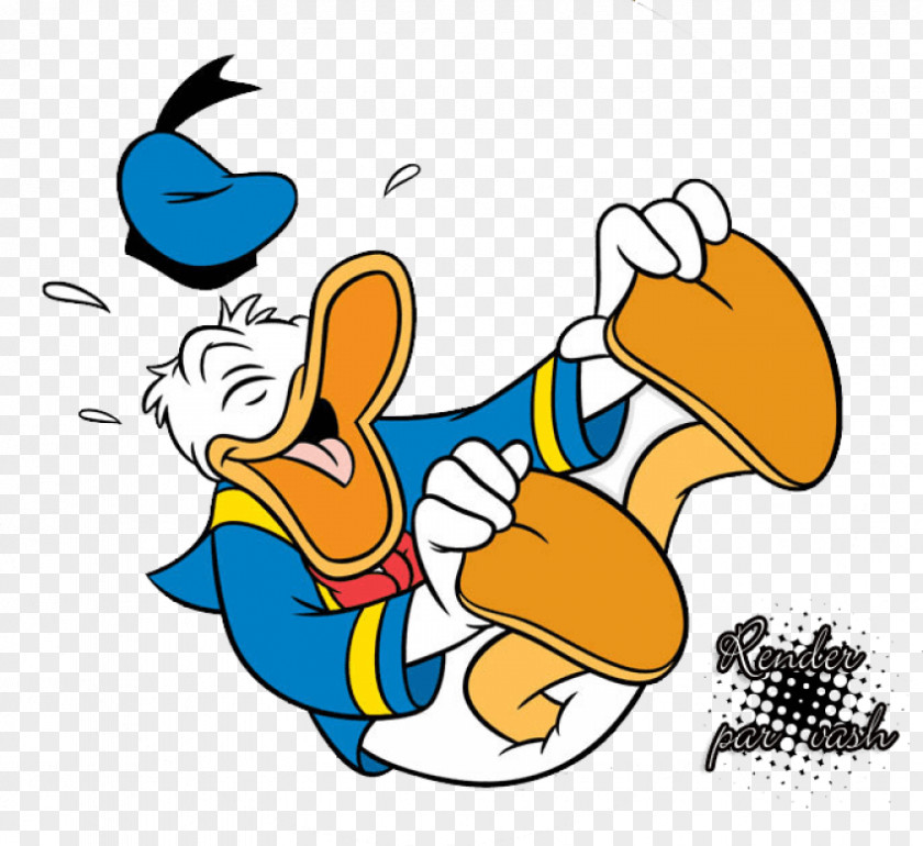Donald Duck Image Cartoon The Walt Disney Company PNG