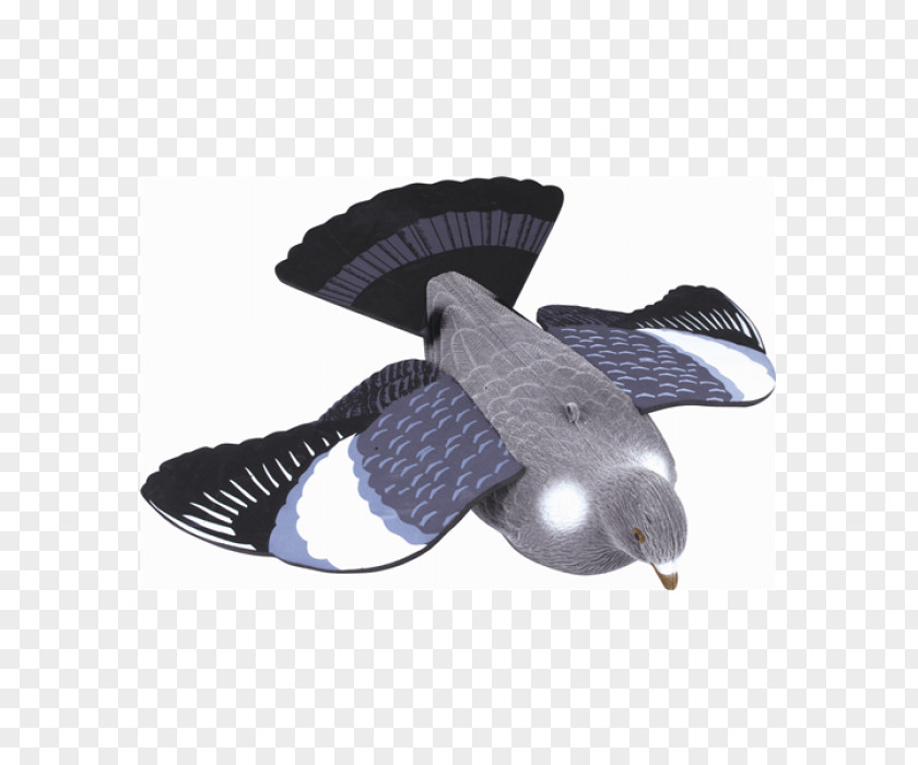 Flying Pigeon Columbidae Duck Decoy Mallard Hunting PNG