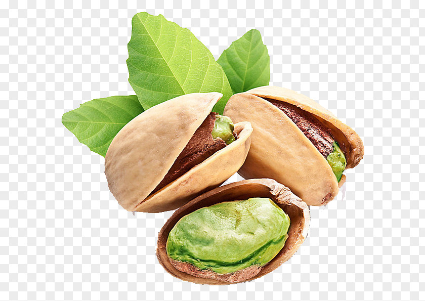 Green Pistachios Ice Cream Pistachio Nut Stock Photography PNG