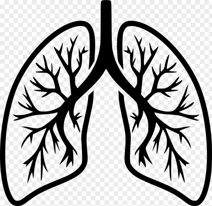 Lung Computer Icons Breathing Organ PNG Organ, human Lungs clipart PNG
