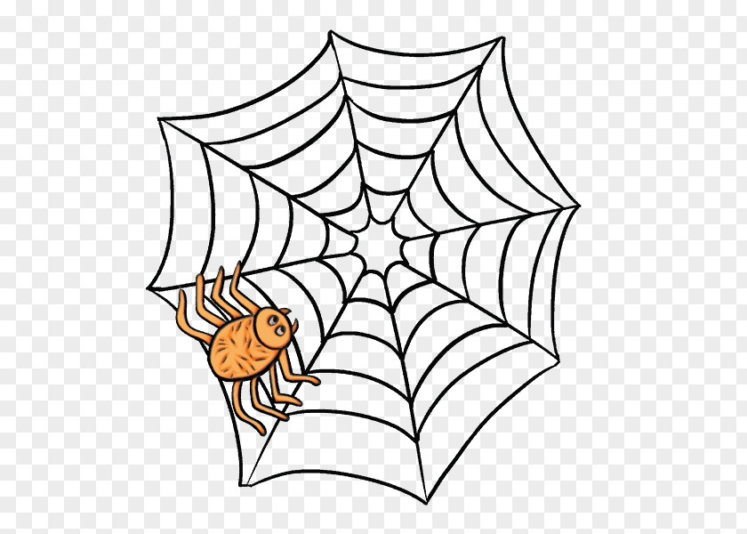 Natural Material Plant Spider Web PNG