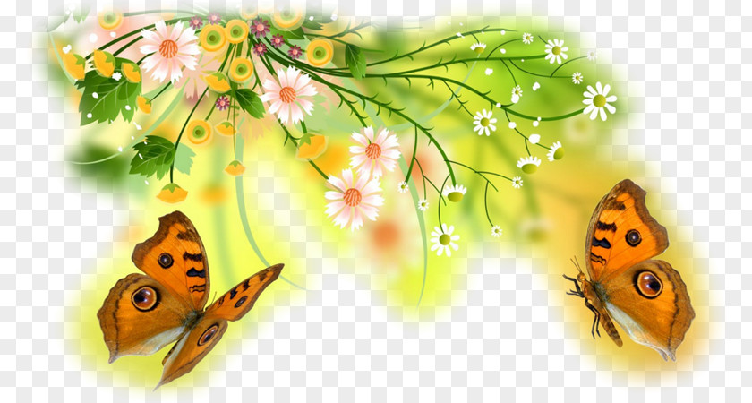 Papilon Butterfly Desktop Wallpaper Flower Insect Papillon Dog PNG