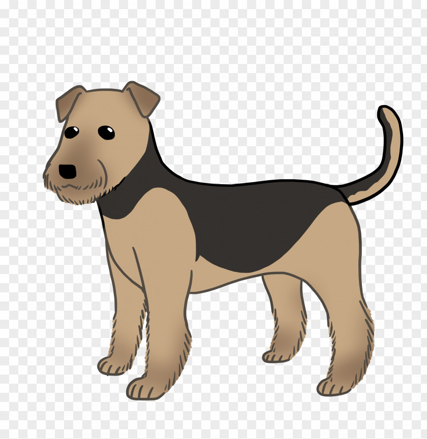 Puppy Dog Breed Airedale Terrier Bull Boston PNG