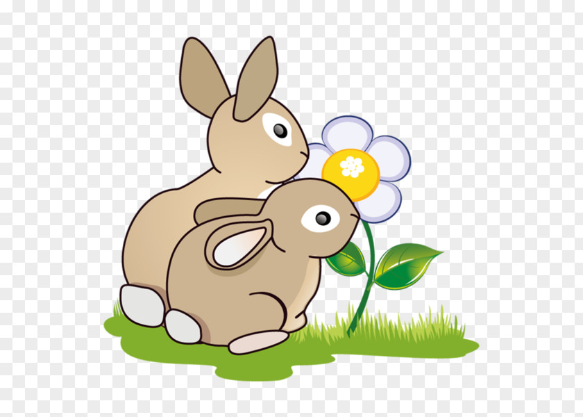 Rabbit Domestic Hare European Easter Bunny Clip Art PNG