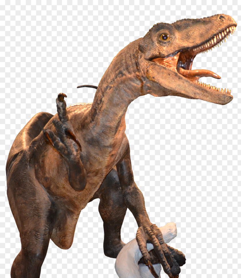 Velociraptor PNG