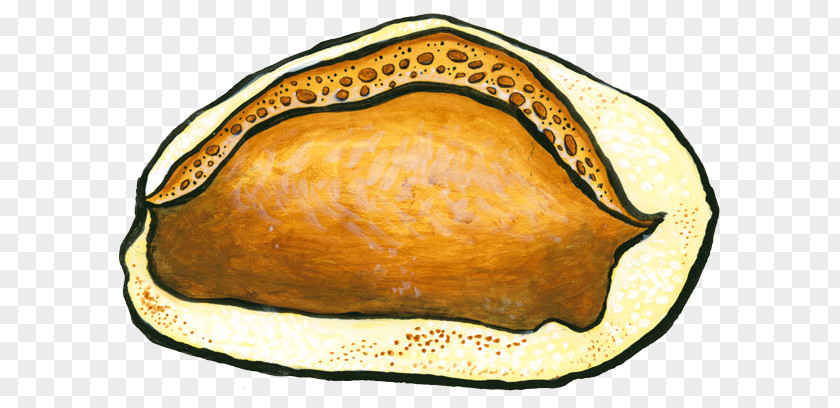 Bakery Baking Baguette Crackling Bread Zingerman's Bakehouse PNG