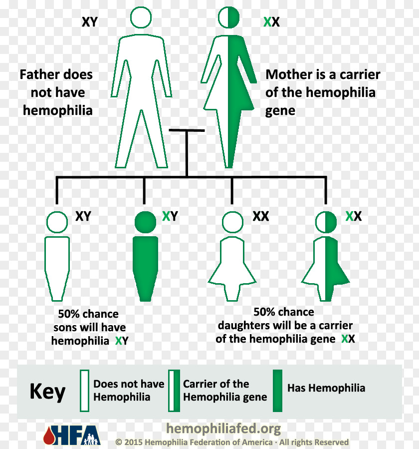 Blood Haemophilia A Genetic Disorder B Coagulopathy PNG