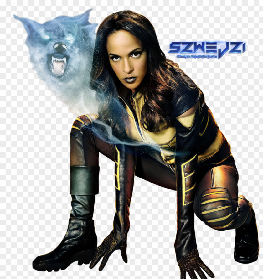 Legends Of Tomorrow Megalyn Echikunwoke Green Arrow Vixen Arrowverse PNG