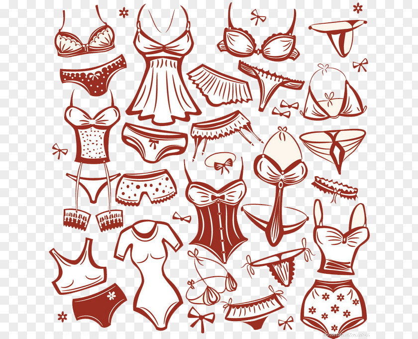 Panties Undergarment Bra Stock Photography PNG photography, underwear clipart PNG