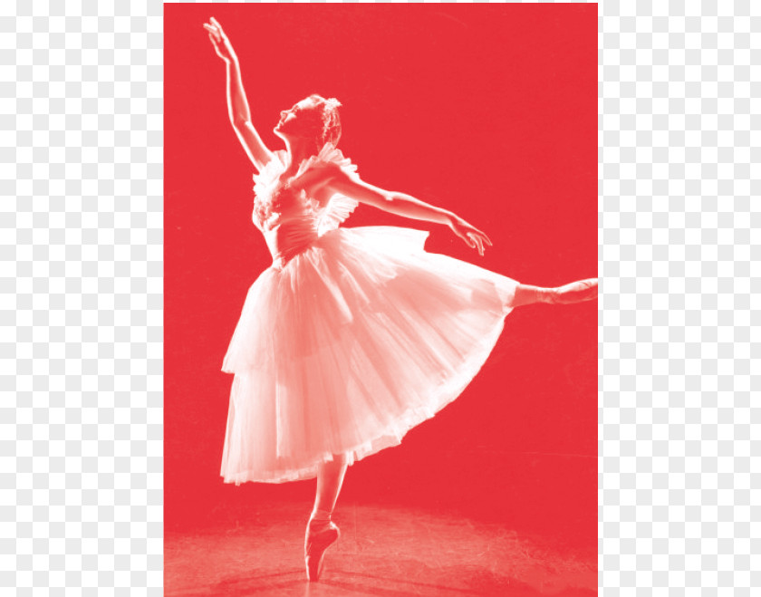 Ballerina Shoes Ballet Dancer Giselle Blanc PNG