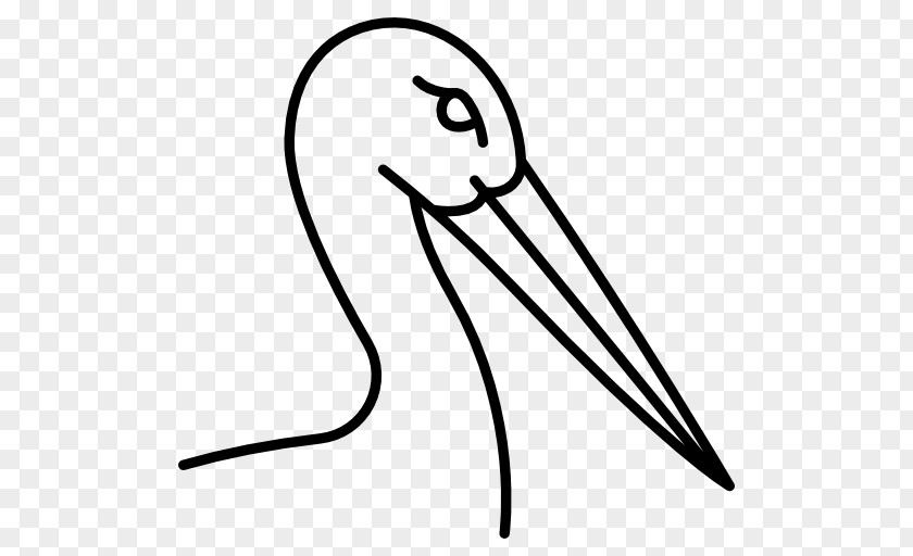 Bird Beak White Stork PNG