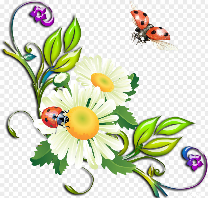 Camomile Flower Animation Clip Art PNG