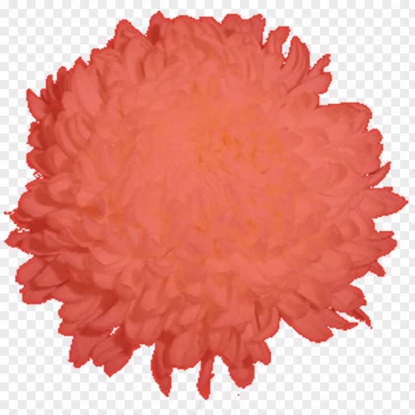 Commercial Use Petal Flower Chrysanthemum Peach Football PNG