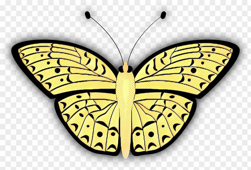 Emperor Moths Pieridae Retro Background PNG