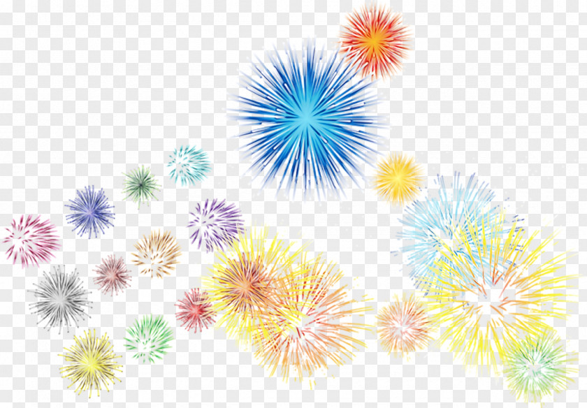 Fireworks Font Plant Wildflower PNG