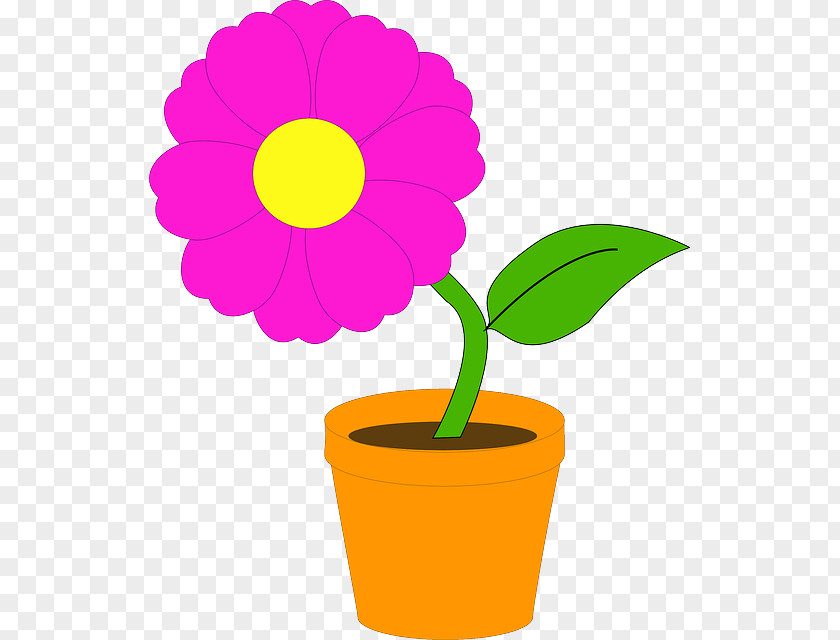 Flower Pot Flowerpot Houseplant Clip Art PNG