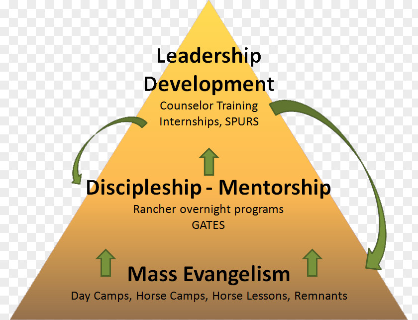 Mentoring Troubled Youth Diagram Line Tree Brand PNG