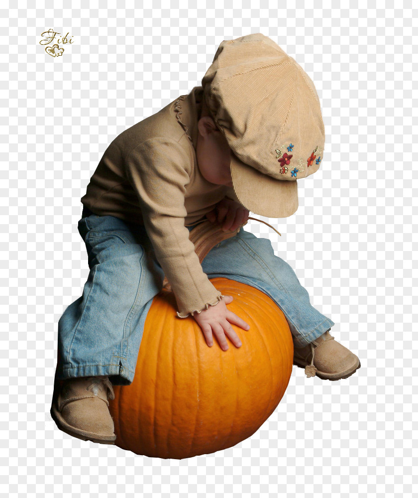 Pumpkin Halloween Film Series Human Behavior Toddler PNG