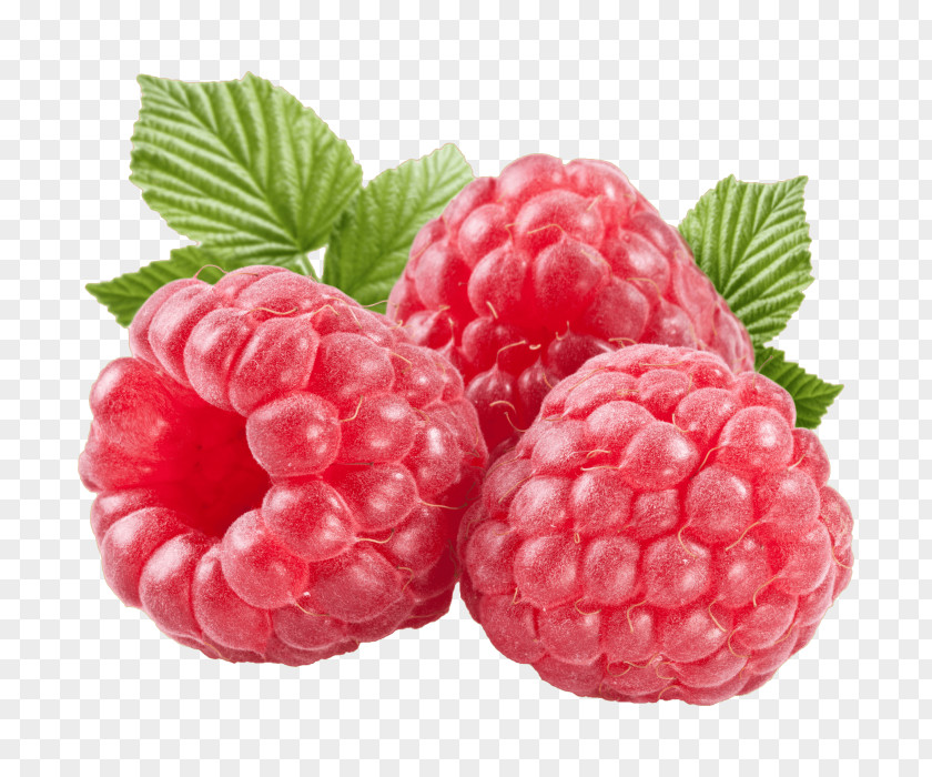 Raspberry Muffin Clip Art PNG