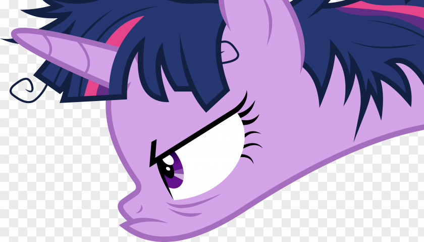 My Little Pony Twilight Sparkle Rarity Pinkie Pie Rainbow Dash PNG