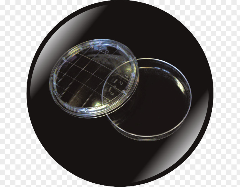 Petri Dishes Sterilization Plastic Diameter PNG