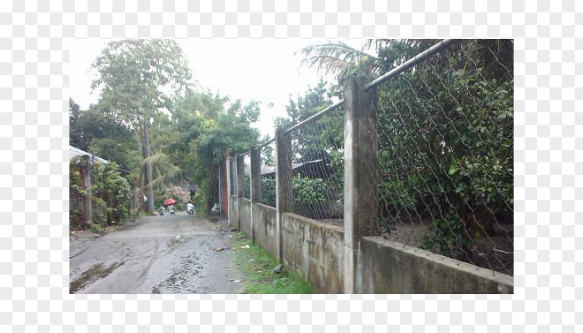 Residential Community Fence Area Property Land Lot Landscaping PNG