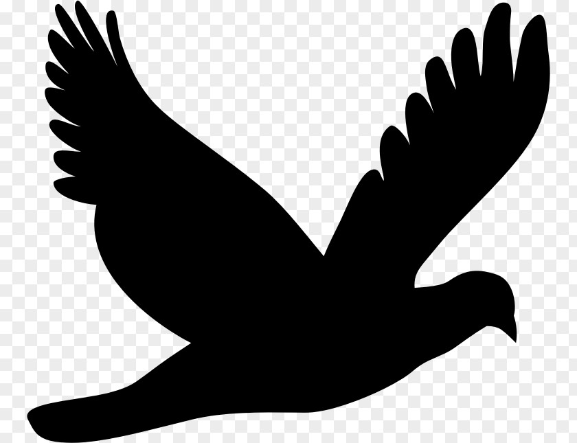 Silhouettes Columbidae Silhouette Clip Art PNG