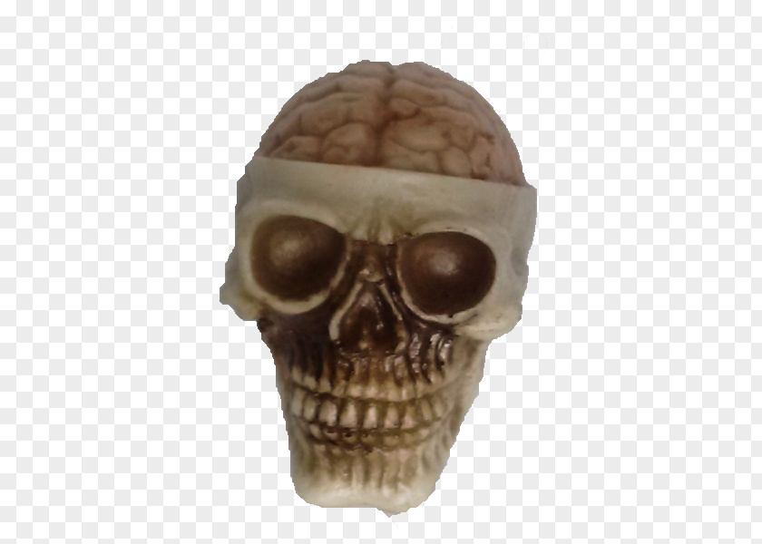 Skull And Crossbones Brain Ashtray Piracy PNG