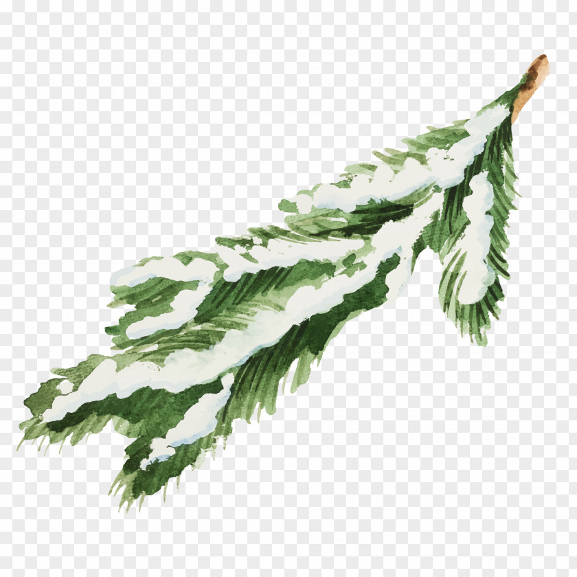 Snow-covered Pine Leaves Vector Illustration Snow Leaf PNG