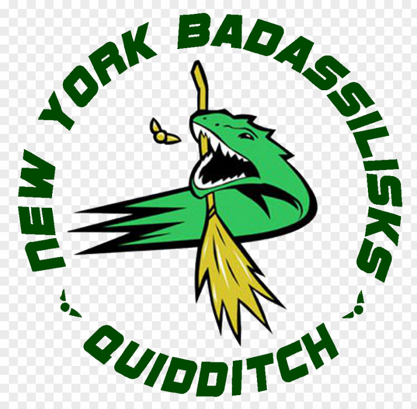 World Cup Team New York University IMG US Quidditch Harry Potter PNG