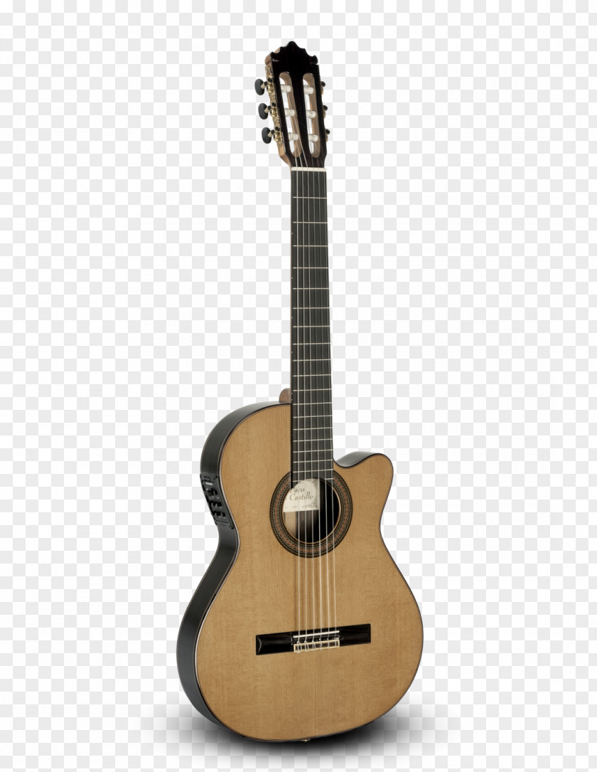 Acoustic Guitar Steel-string Maton String Instruments PNG