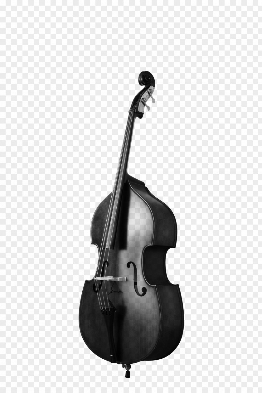 Bass Guitar Violin Double Viola Tololoche PNG