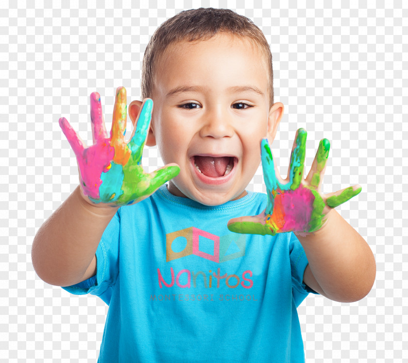 Child Early Childhood Education Toddler Psychology PNG