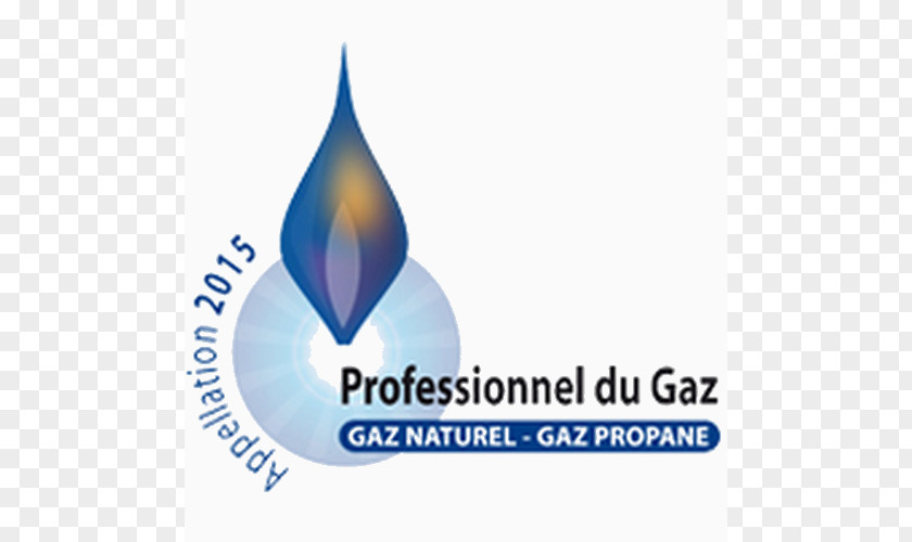 Energy Berogailu Natural Gas Boiler Professional PNG